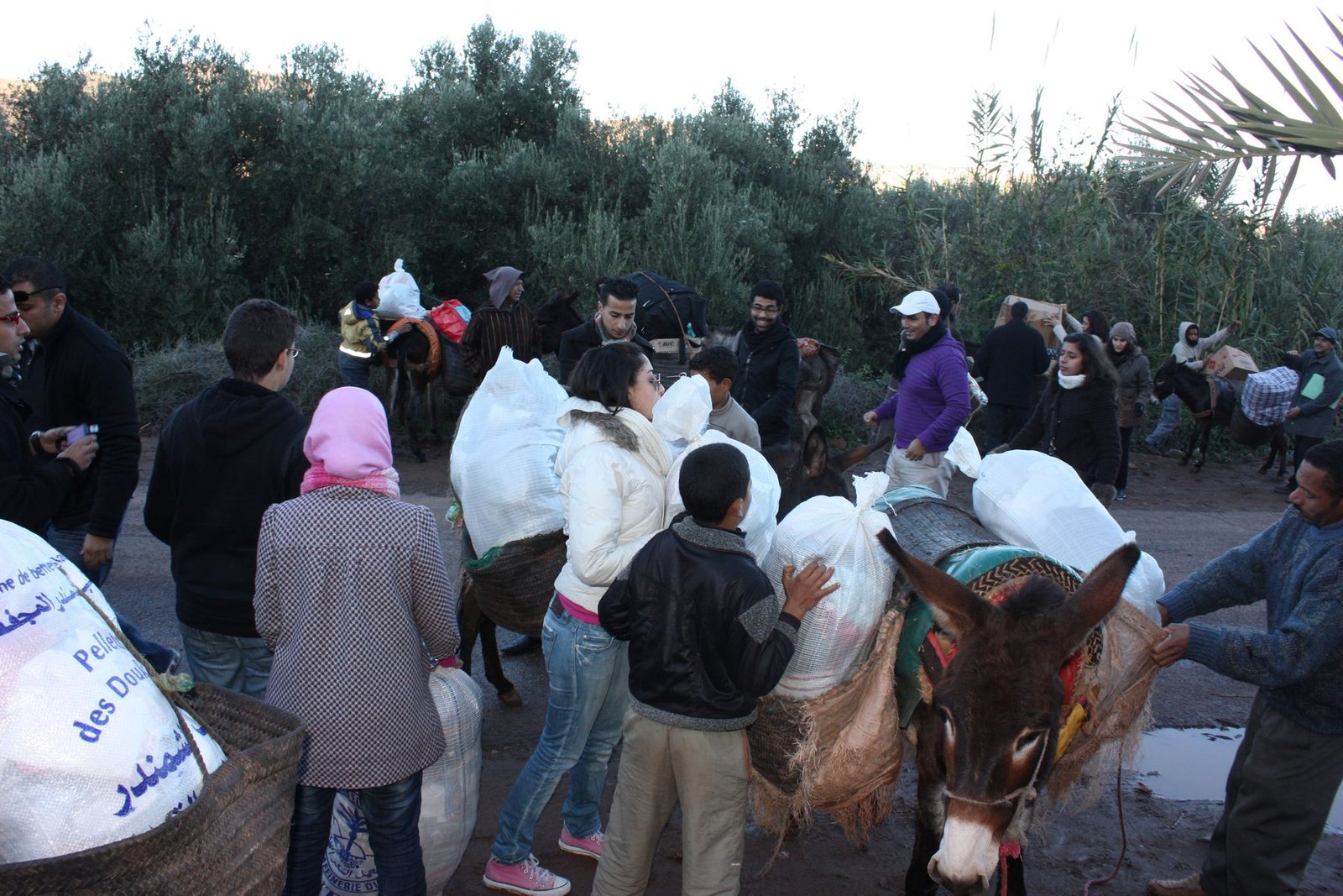 Our volunteers at work